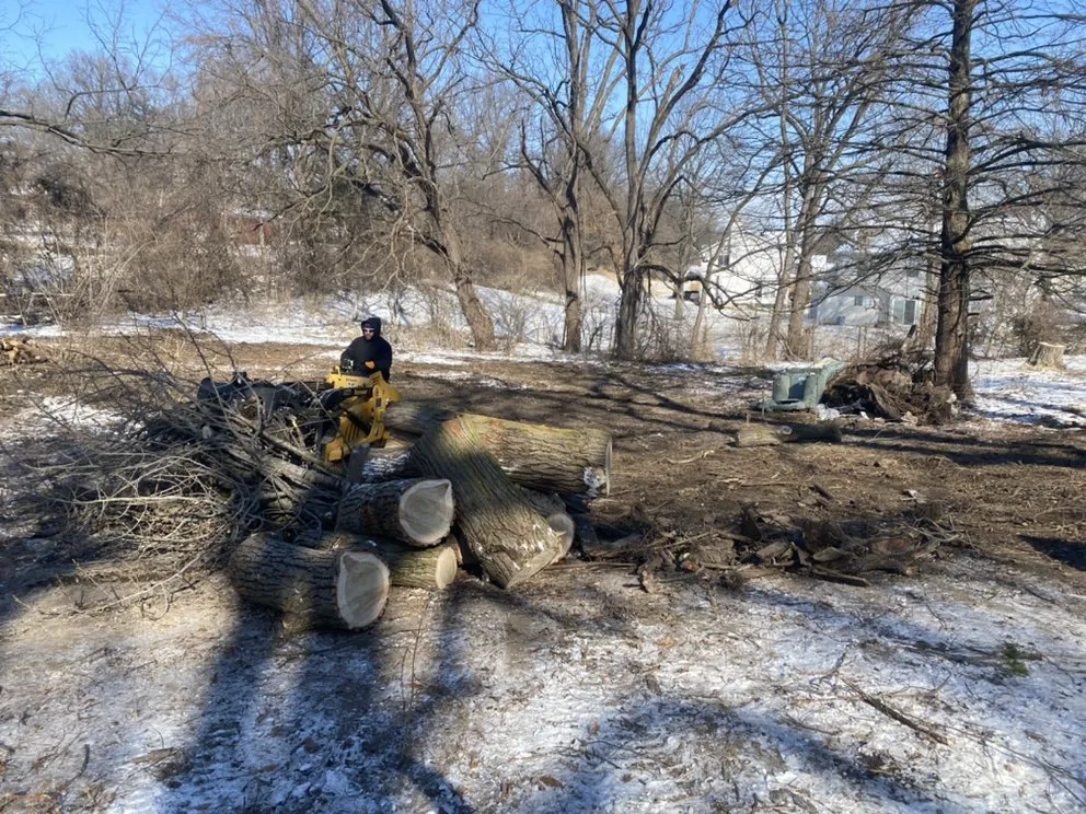 Top-rated landscaping services in St. Louis, MO - Jakes trash and hauling services