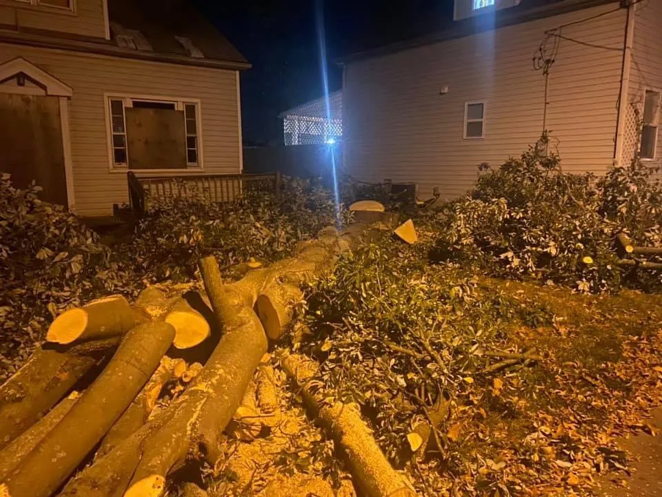 Professional landscaping services with custom design across St. Louis, MO - Jakes trash and hauling services