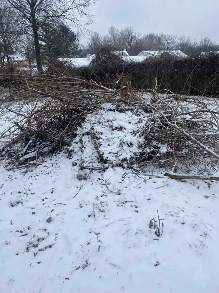 Reliable lawn mowing service experts serving St. Louis, MO - Jakes trash and hauling services