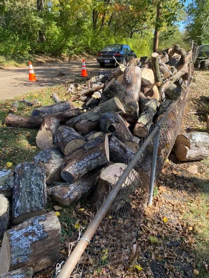 Professional yard cleanup service for outdoor upgrades in St. Louis, MO by Jakes trash and hauling services