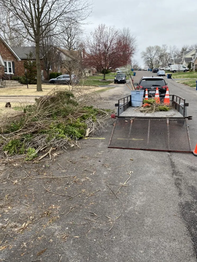 Local landscape design near you across St. Louis, MO - Jakes trash and hauling services