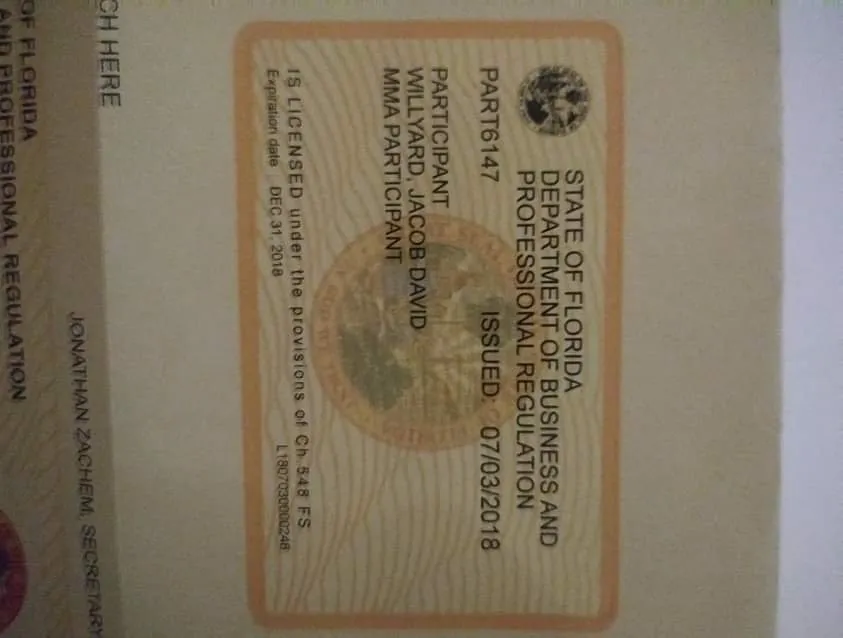 Local yard maintenance experts serving Saint Louis, MO - Jakes tree and lawn Care services