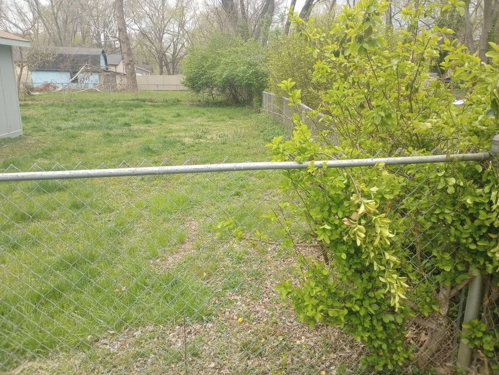 Expert landscape installation experts serving Saint Louis, MO - Jakes tree and lawn Care services