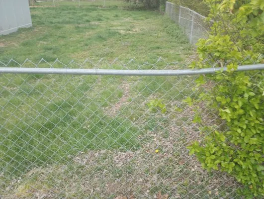 Jakes tree and lawn Care services Logo