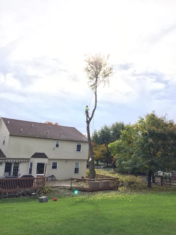 Custom yard cleanup service for beautiful yards in Orefield, PA by Jake's Tree Service