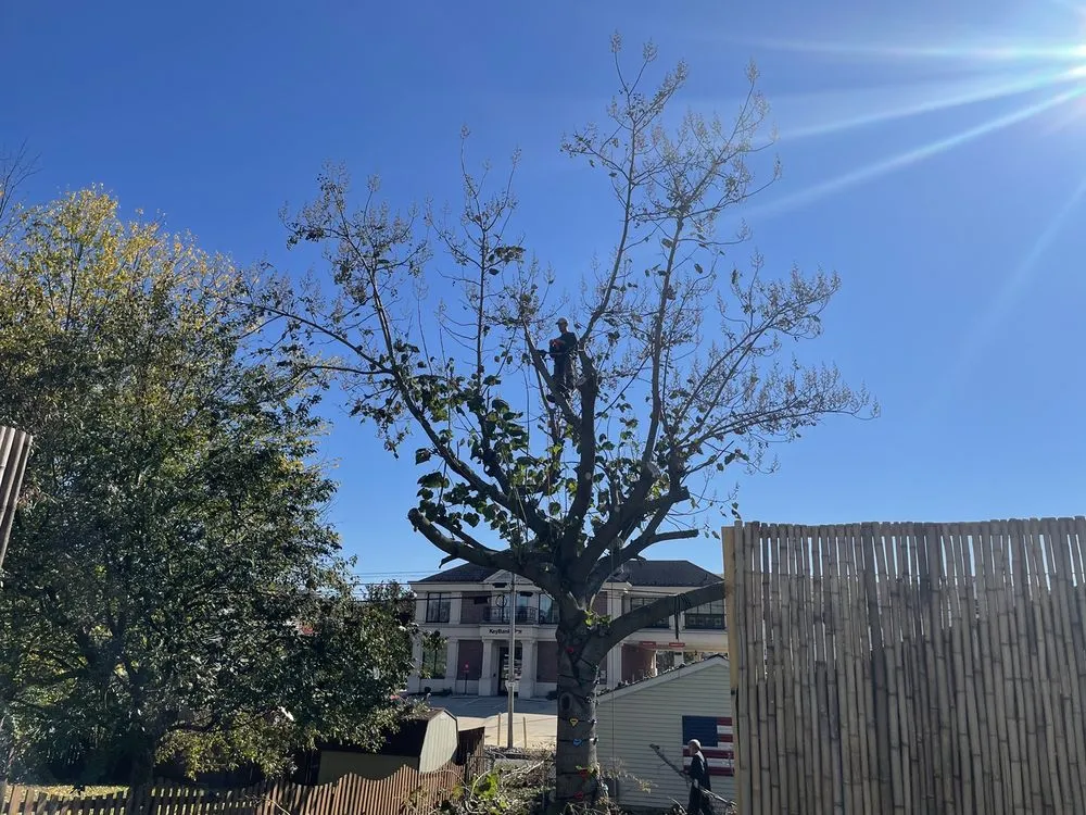 Custom landscaping services for beautiful yards across Orefield, PA - Jake's Tree Service