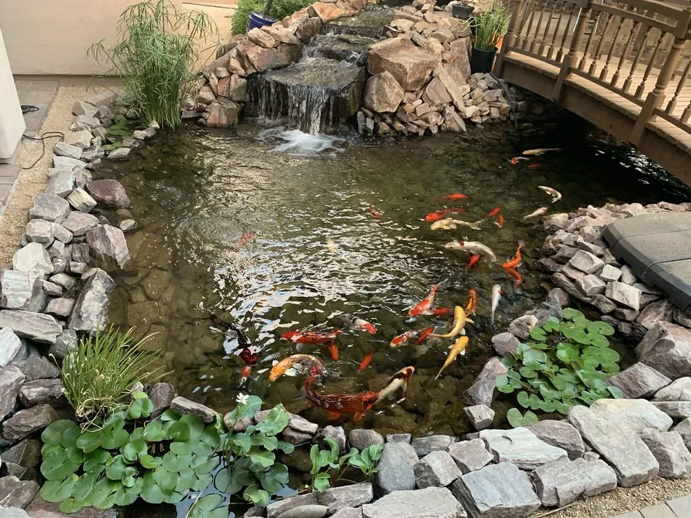 Affordable yard maintenance for year-round maintenance in Chandler, AZ by Jakescape