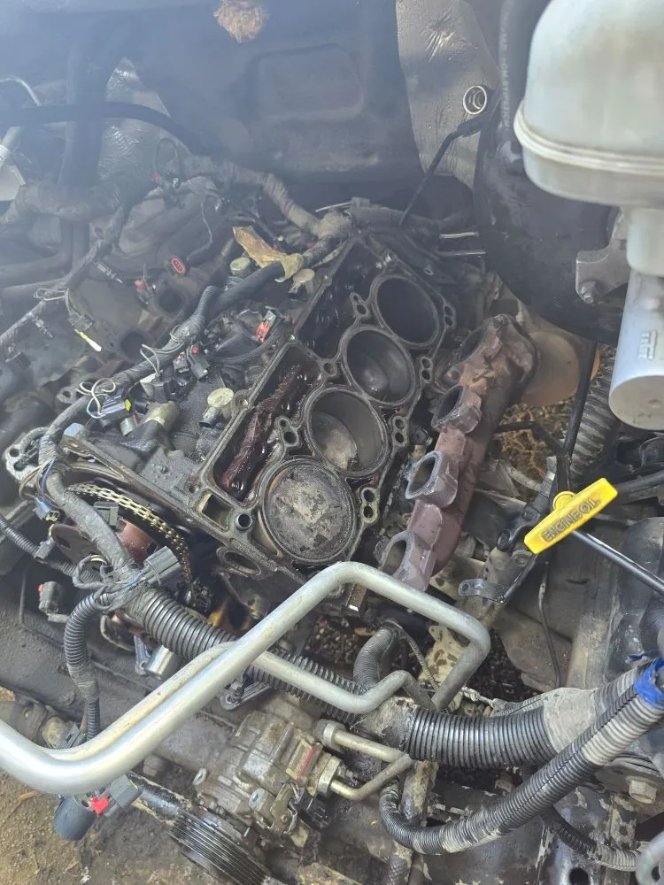 Custom yard cleanup service in Cleveland, TN - JAKT Nomadic Services