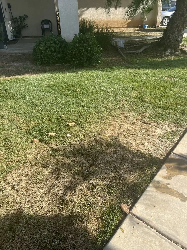 Professional landscape design experts serving Jurupa Valley, CA - Jakymar Tree Services