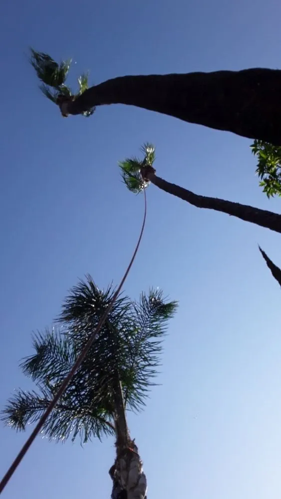 Expert residential landscaping in Jurupa Valley, CA by Jakymar Tree Services