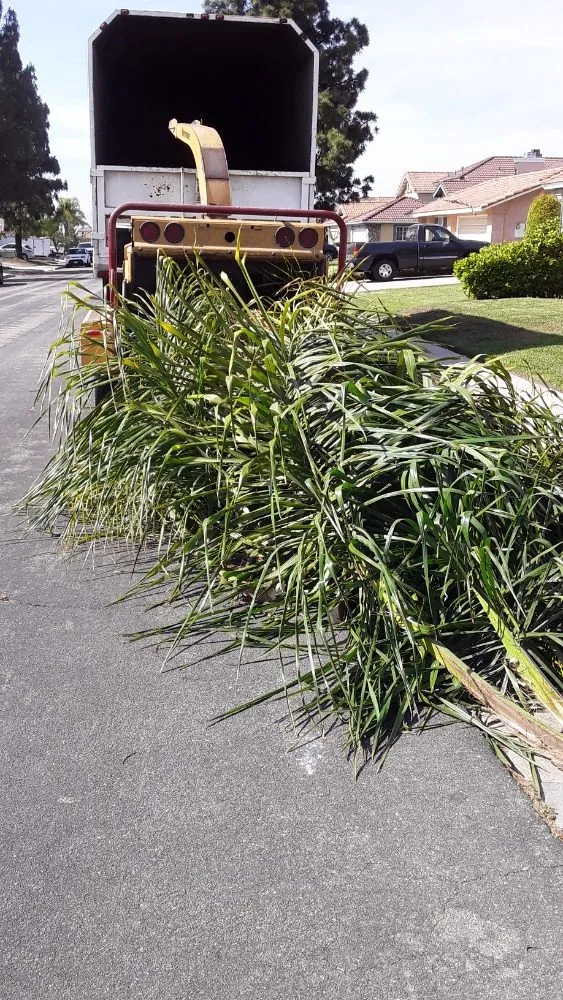 Top-rated landscape design for homes in Jurupa Valley, CA by Jakymar Tree Services