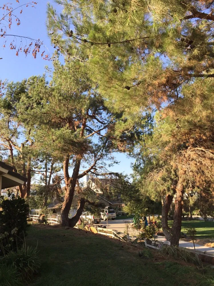 Local outdoor landscaping experts serving Jurupa Valley, CA - Jakymar Tree Services