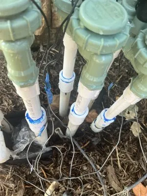 Jakymar Tree Services Logo