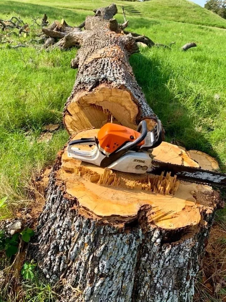 Reliable yard maintenance experts serving Bryan, TX - J.ALB Lawn & Outdoor