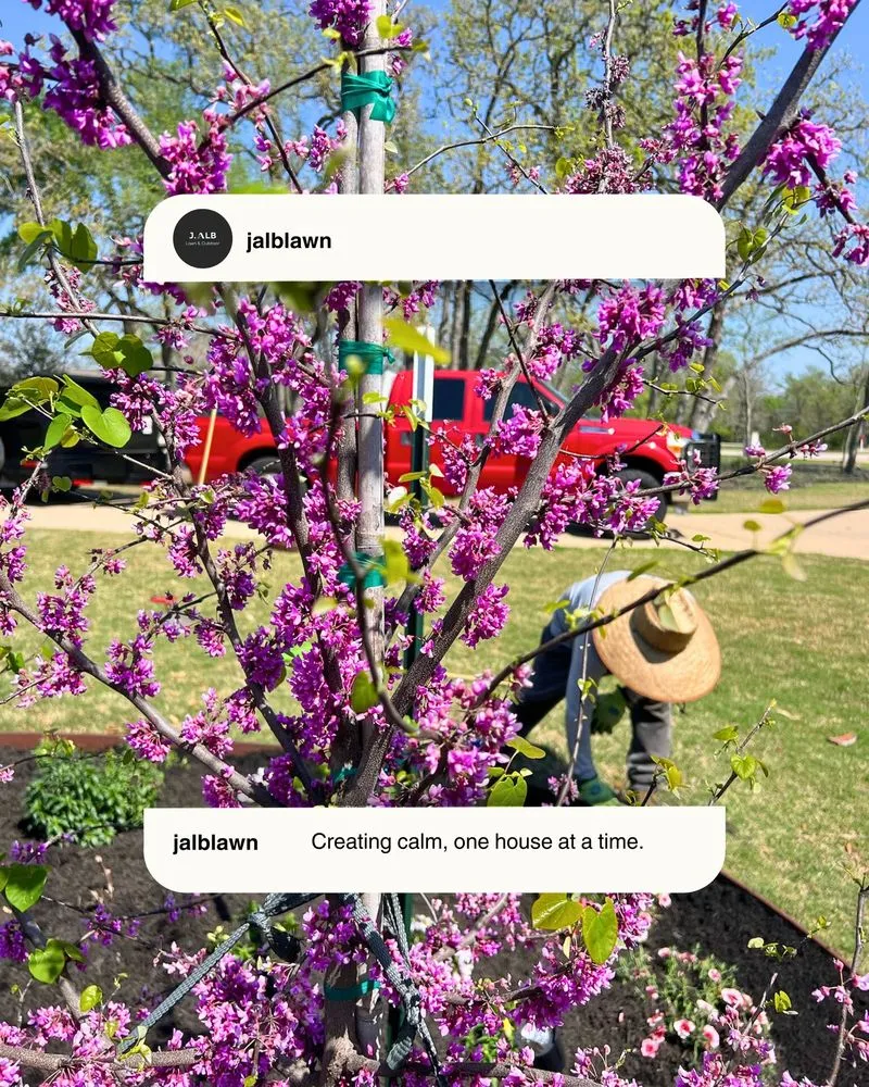 Trusted lawn care service in Bryan, TX - J.ALB Lawn & Outdoor