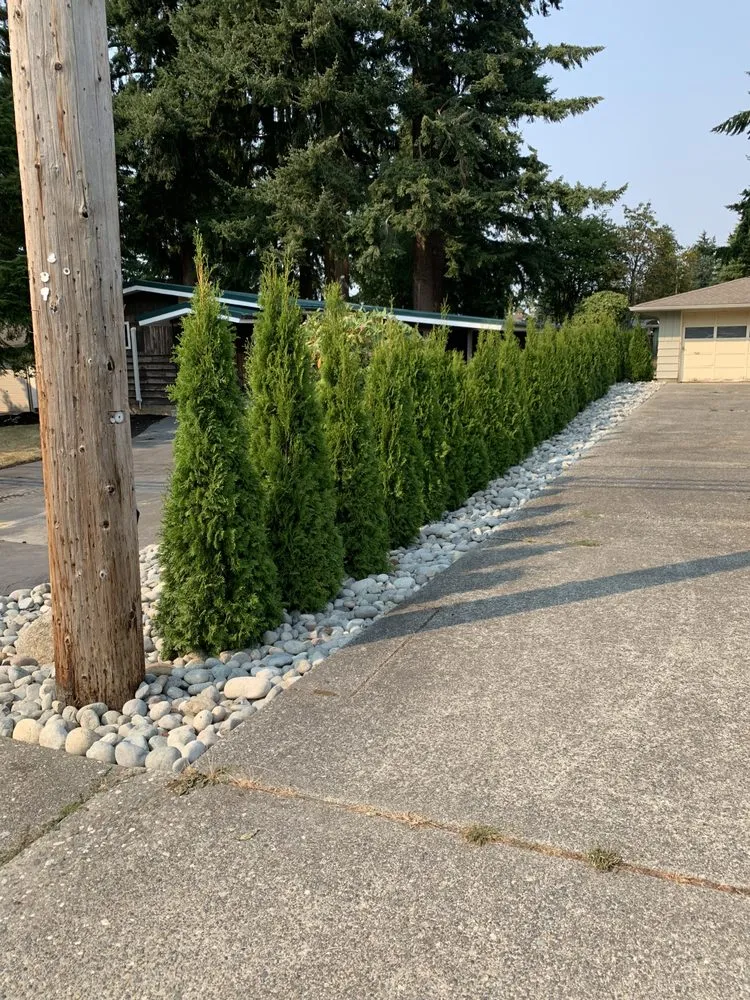 Expert residential landscaping in Marysville, WA by Jalen's Gardening