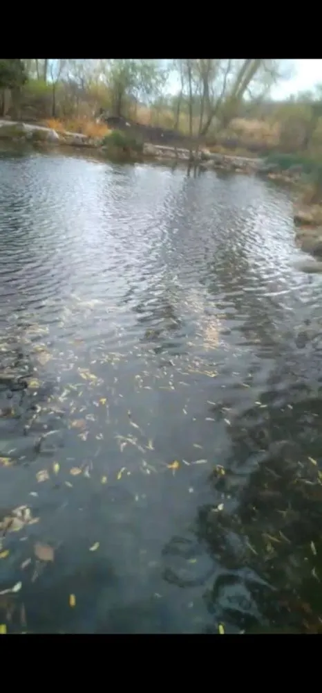 Reliable yard maintenance experts serving West Milwaukee, WI - Jalisco's Lawn Care