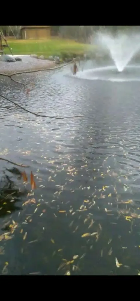 Local lawn mowing service experts serving West Milwaukee, WI - Jalisco's Lawn Care