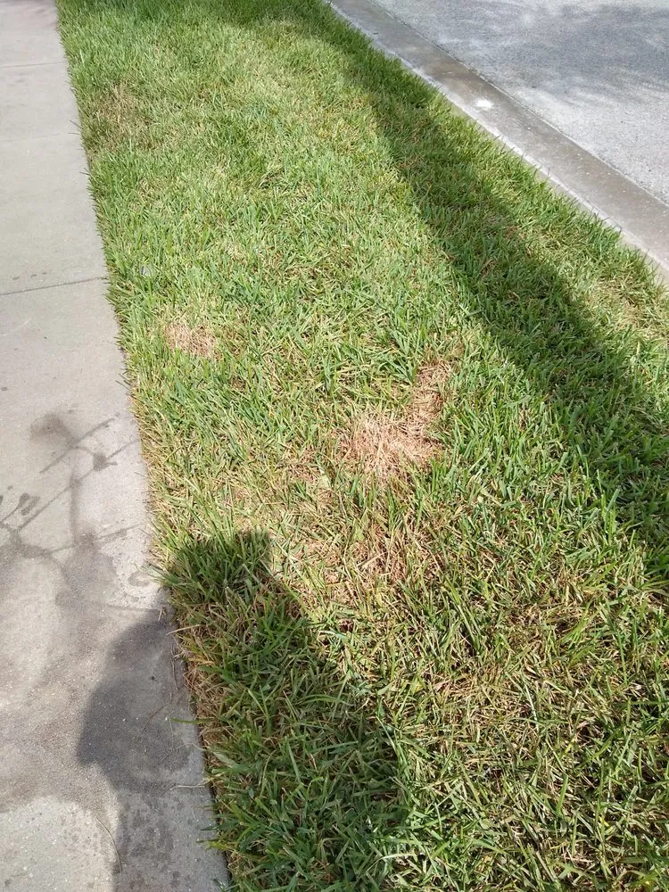 Top-rated outdoor landscaping near you in Hudson, FL by JAM Curbing