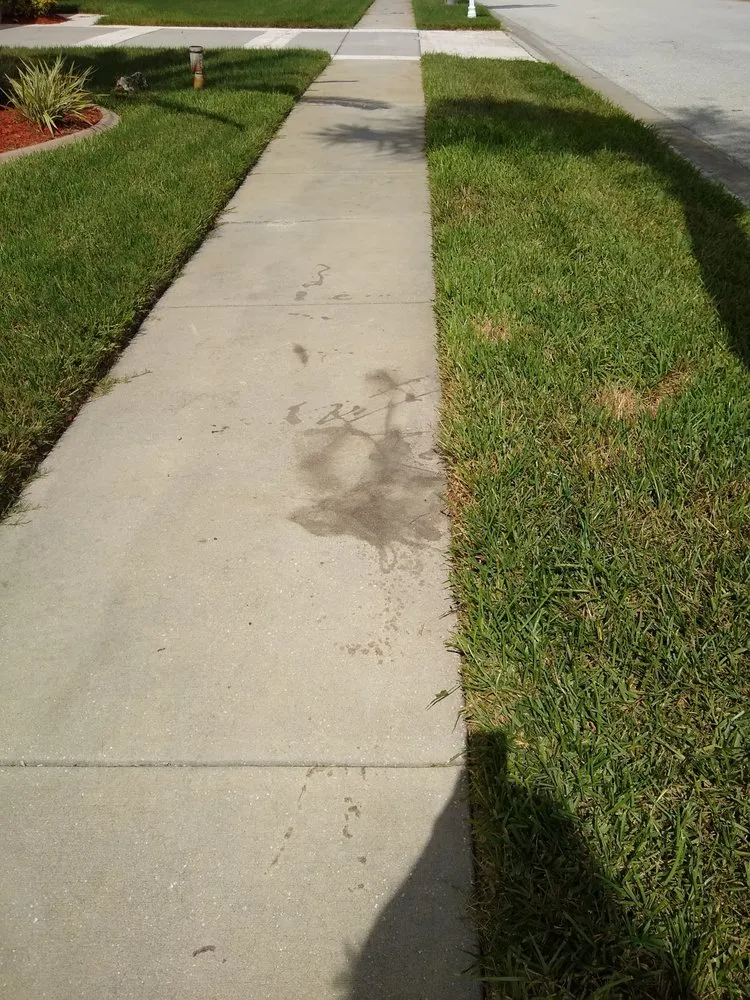 Local landscape design in Hudson, FL by JAM Curbing