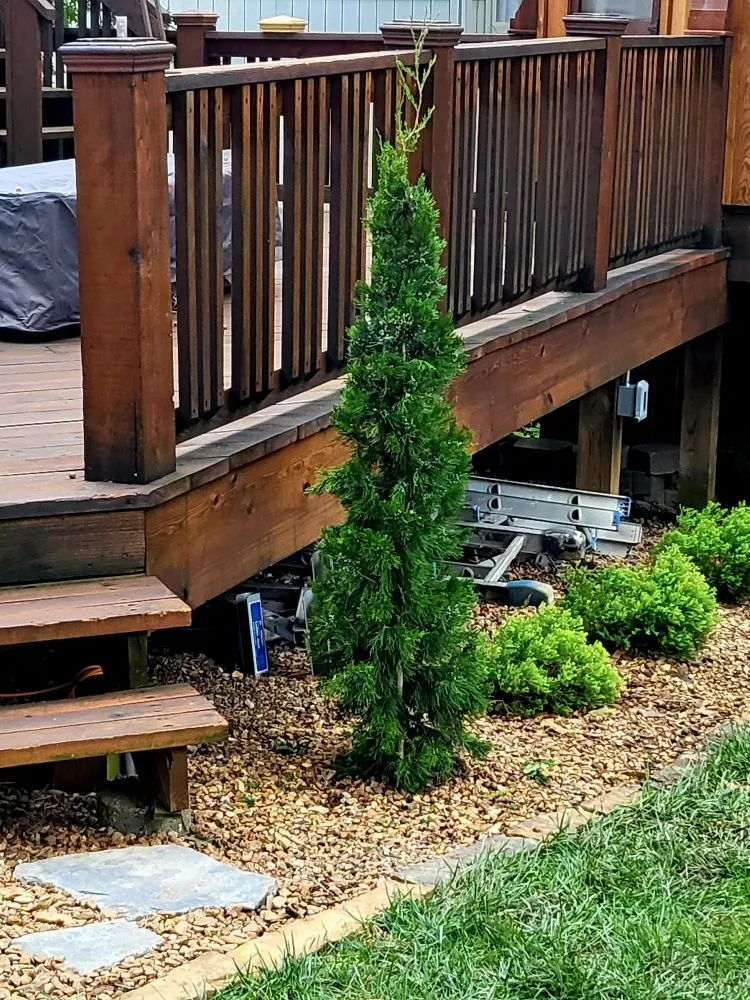 Expert landscape design in Independence, MO by Jam Landscape & Design