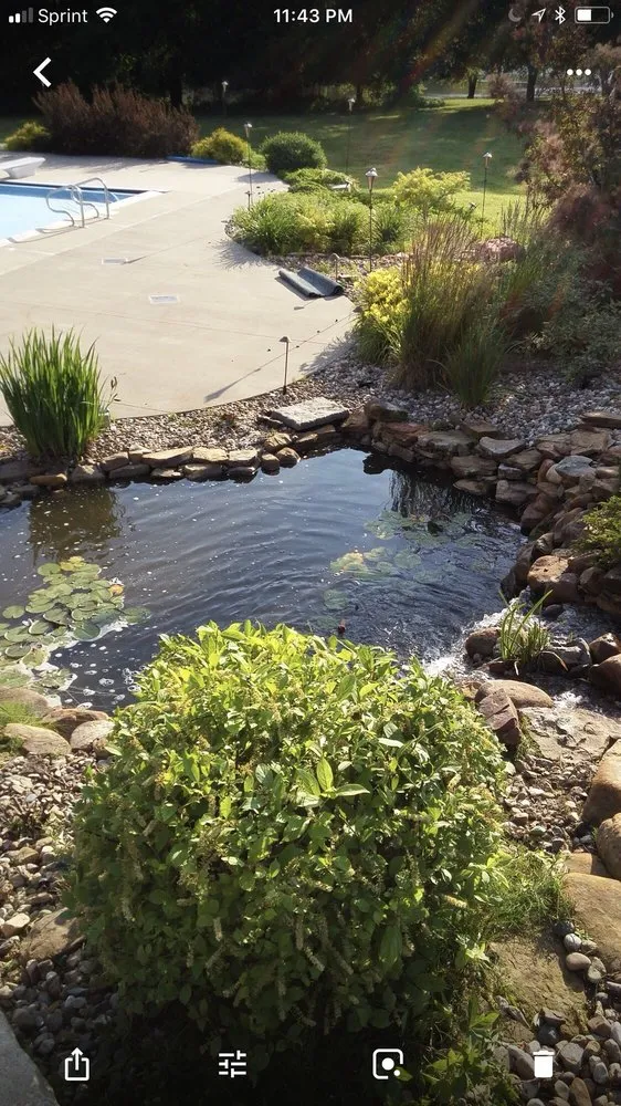 Custom yard cleanup service in Independence, MO by Jam Landscape & Design