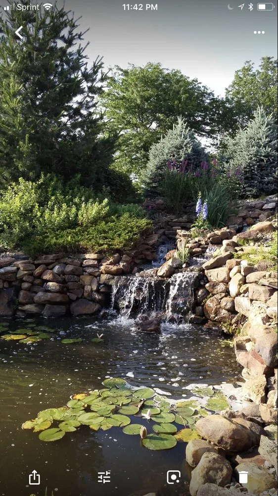 Expert yard maintenance experts serving Independence, MO - Jam Landscape & Design