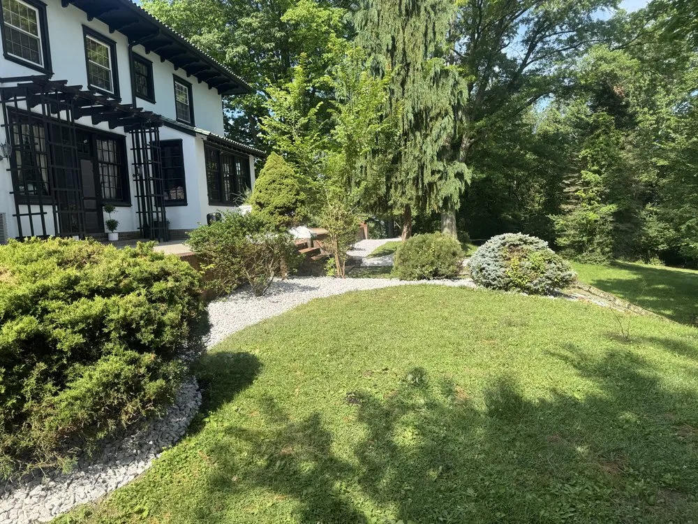 Local yard cleanup service for outdoor upgrades across Washington, PA - JAM