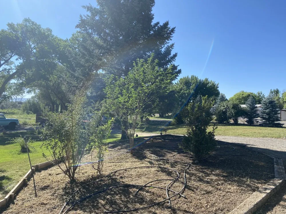 Custom landscape design for outdoor upgrades in Montrose, CO by Jamaican Me Crazy Yard Service