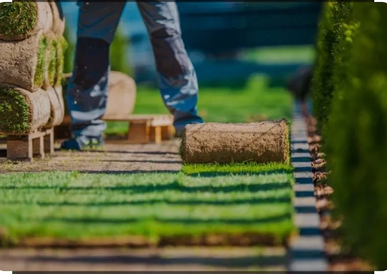 Expert yard cleanup service in Montrose, CO - Jamaican Me Crazy Yard Service