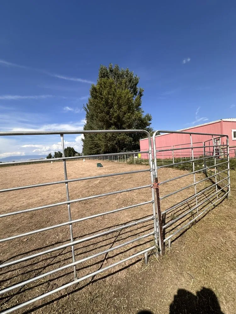 Top-rated yard cleanup service experts serving Montrose, CO - Jamaican Me Crazy Yard Service