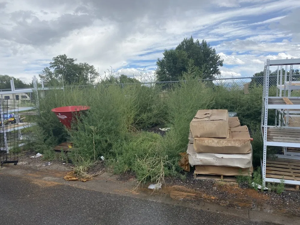 Professional yard cleanup service experts serving Montrose, CO - Jamaican Me Crazy Yard Service