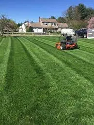 Trusted yard cleanup service in Lubbock, TX by Jamal Mowing