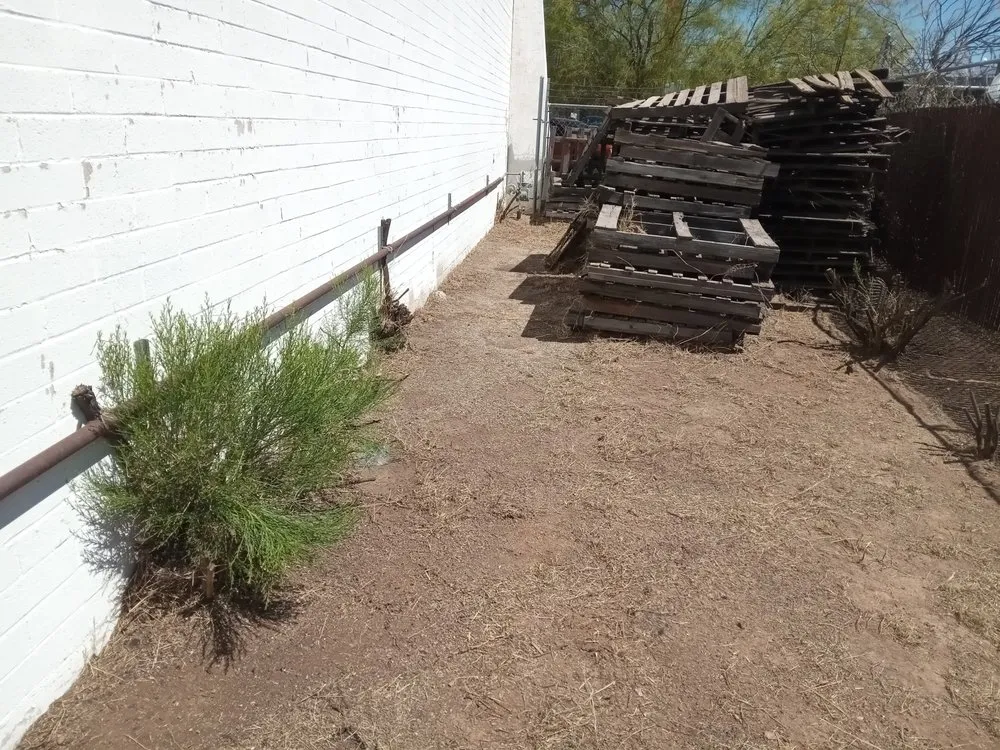 Expert residential landscaping with custom design across Tucson, AZ - Jamal's