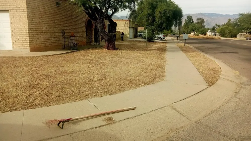 Reliable landscape design in Tucson, AZ by Jamal's