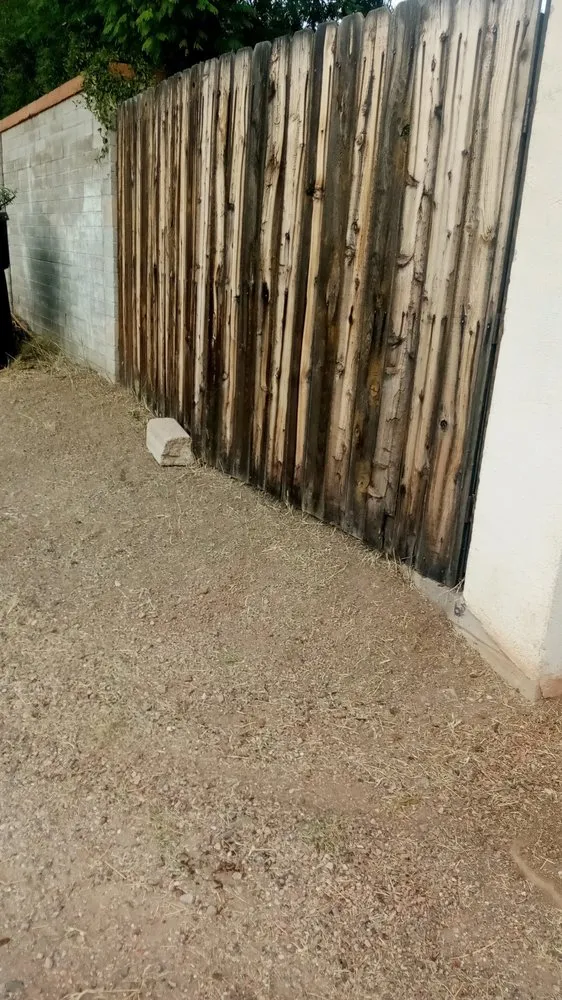 Top-rated lawn care service in Tucson, AZ by Jamal's