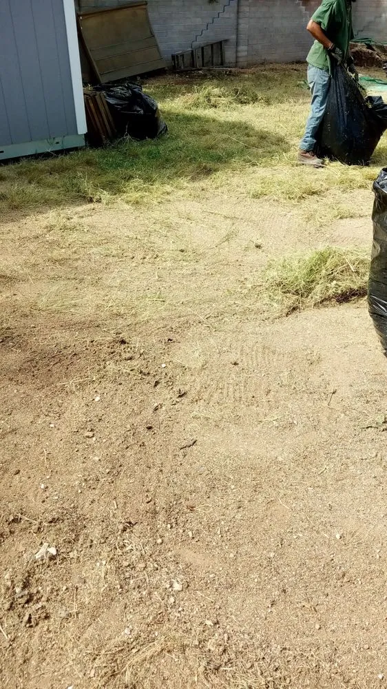 Trusted residential landscaping for year-round maintenance across Tucson, AZ - Jamal's