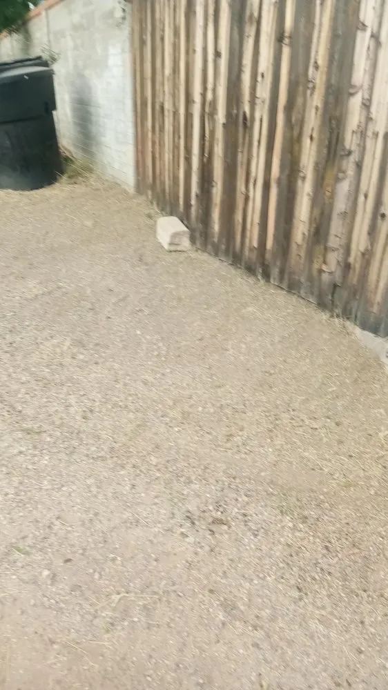 Top-rated lawn mowing service for year-round maintenance in Tucson, AZ by Jamal's