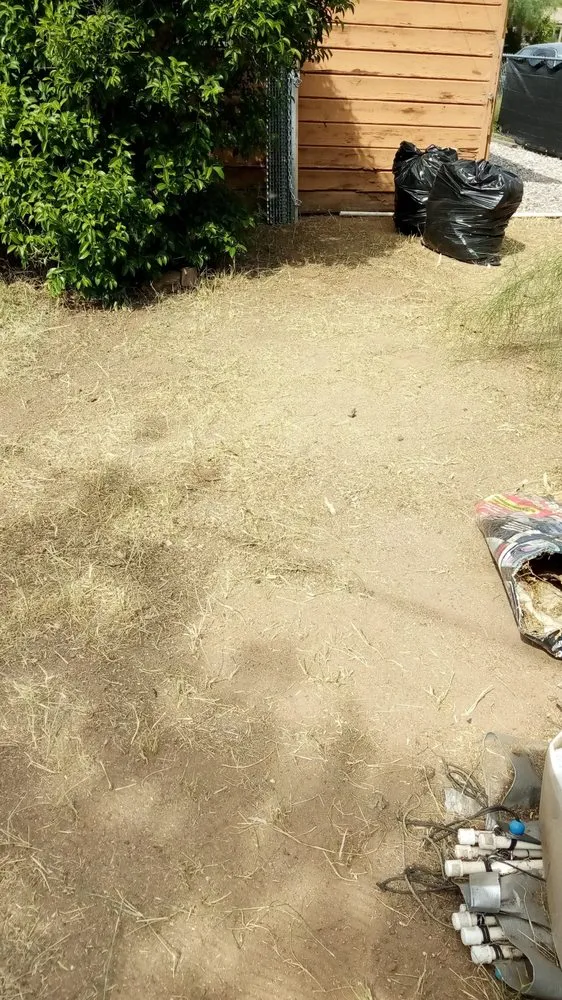 Custom yard cleanup service in Tucson, AZ - Jamal's
