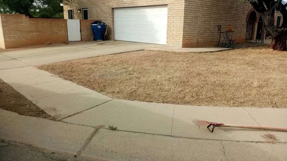 Expert residential landscaping experts serving Tucson, AZ - Jamal's