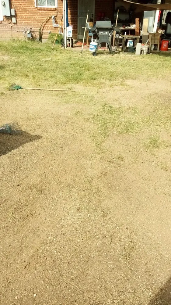 Reliable yard cleanup service in Tucson, AZ by Jamal's