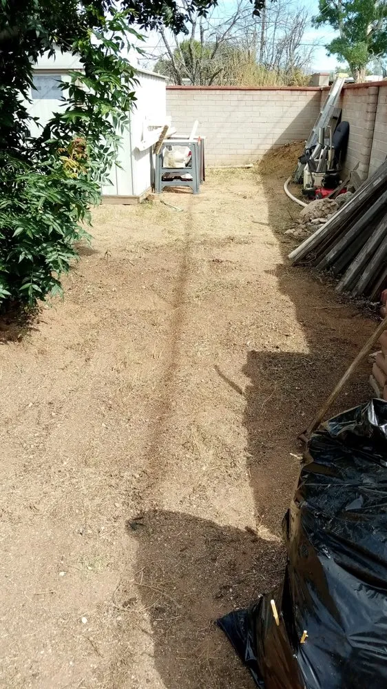 Trusted yard cleanup service in Tucson, AZ - Jamal's