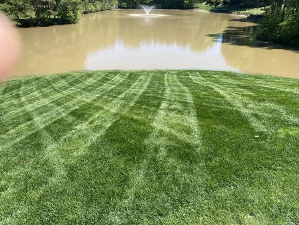 Reliable landscape installation for homes across Bessemer City, NC - Jamerson Lawn Care
