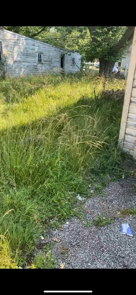 Reliable landscape design in Euclid, OH by James & James