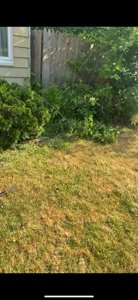 Custom lawn care service in Euclid, OH by James & James