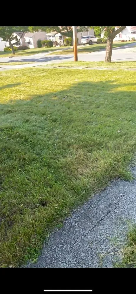 Expert garden landscaping near you across Euclid, OH - James & James