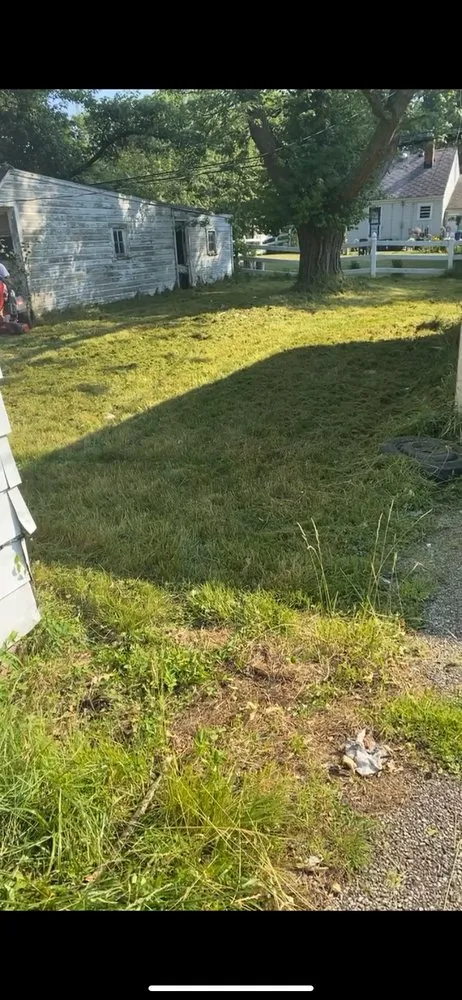 Professional yard cleanup service for outdoor upgrades in Euclid, OH by James & James