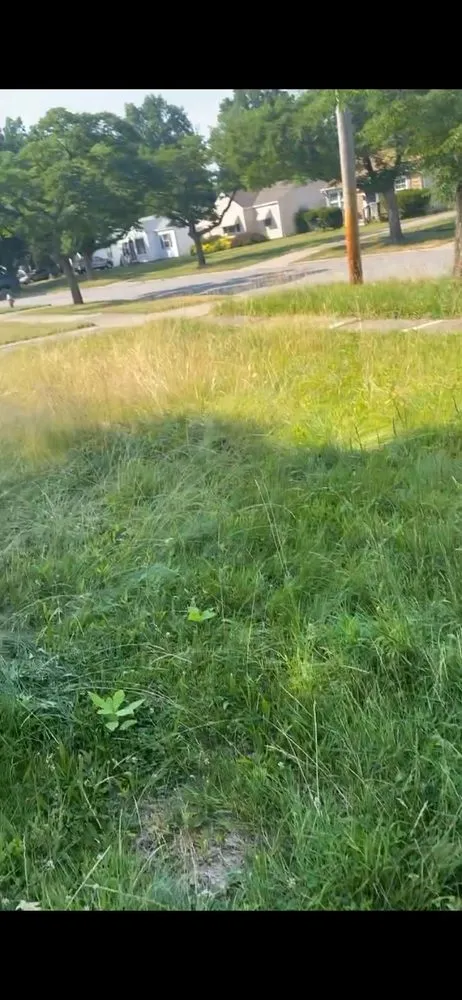 Local landscape design in Euclid, OH by James & James