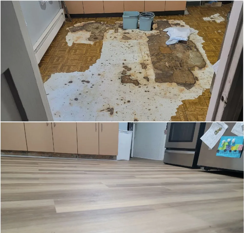 Custom yard cleanup service for homes in Hartford, CT by James Crew