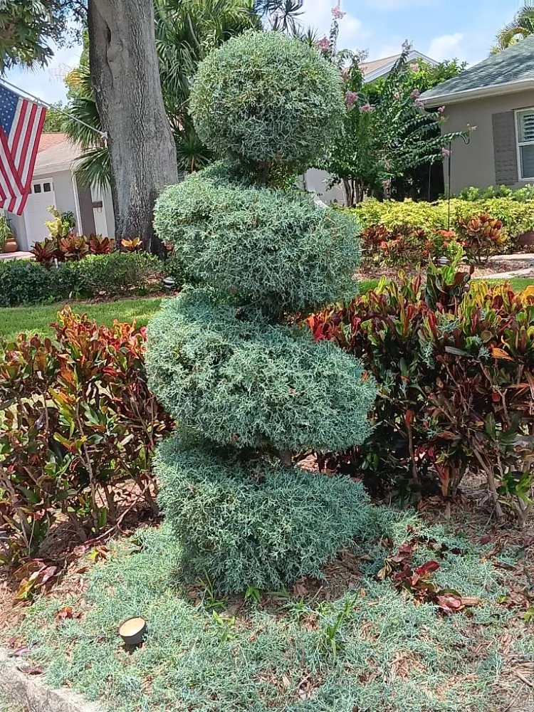 Trusted landscaping services for beautiful yards in Kenneth City, FL by James D Cormey Lawn & Landscape Solutions